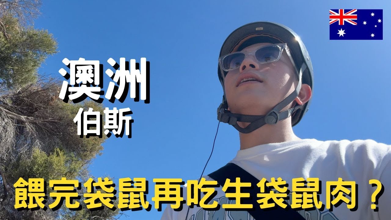 澳洲-伯斯｜嚮往過無尾熊的人生｜羅特尼斯島找短尾袋鼠｜印度洋上看最美夕陽｜袋鼠可以餵也可以吃？｜Segway初體驗｜