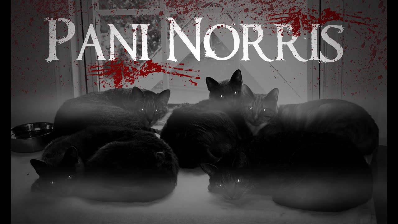 Pani Norris - CreepyPasta Lektor PL (Pasta MysteryTV)