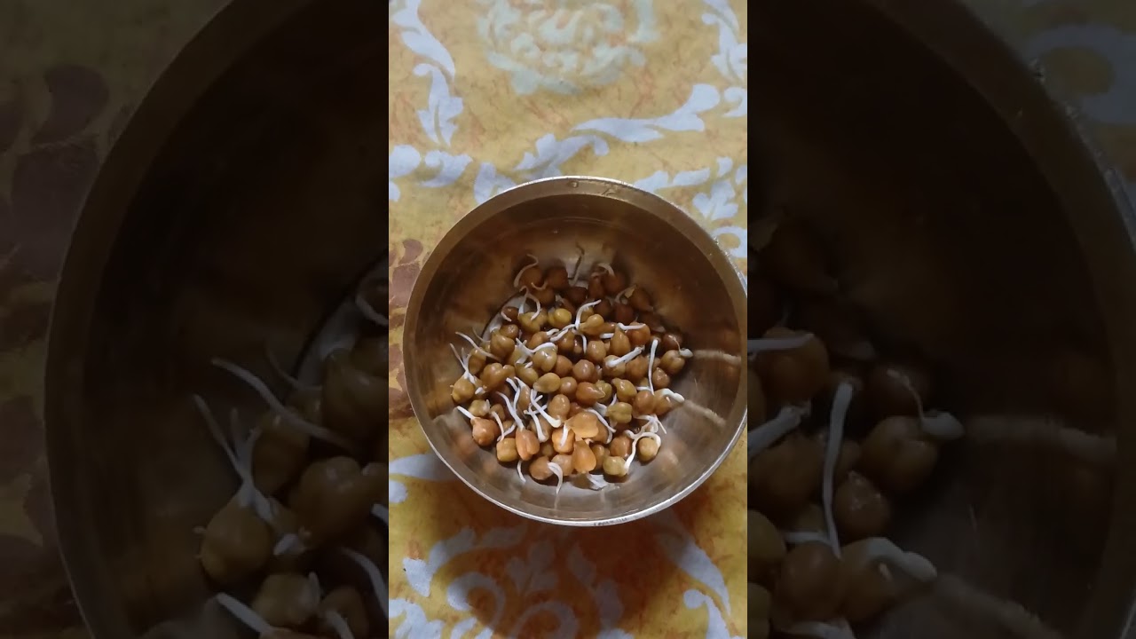 কিসে সেবা দিল ভগবান শ্রীকৃষ্ণ শিব বিসিখুশি হব 