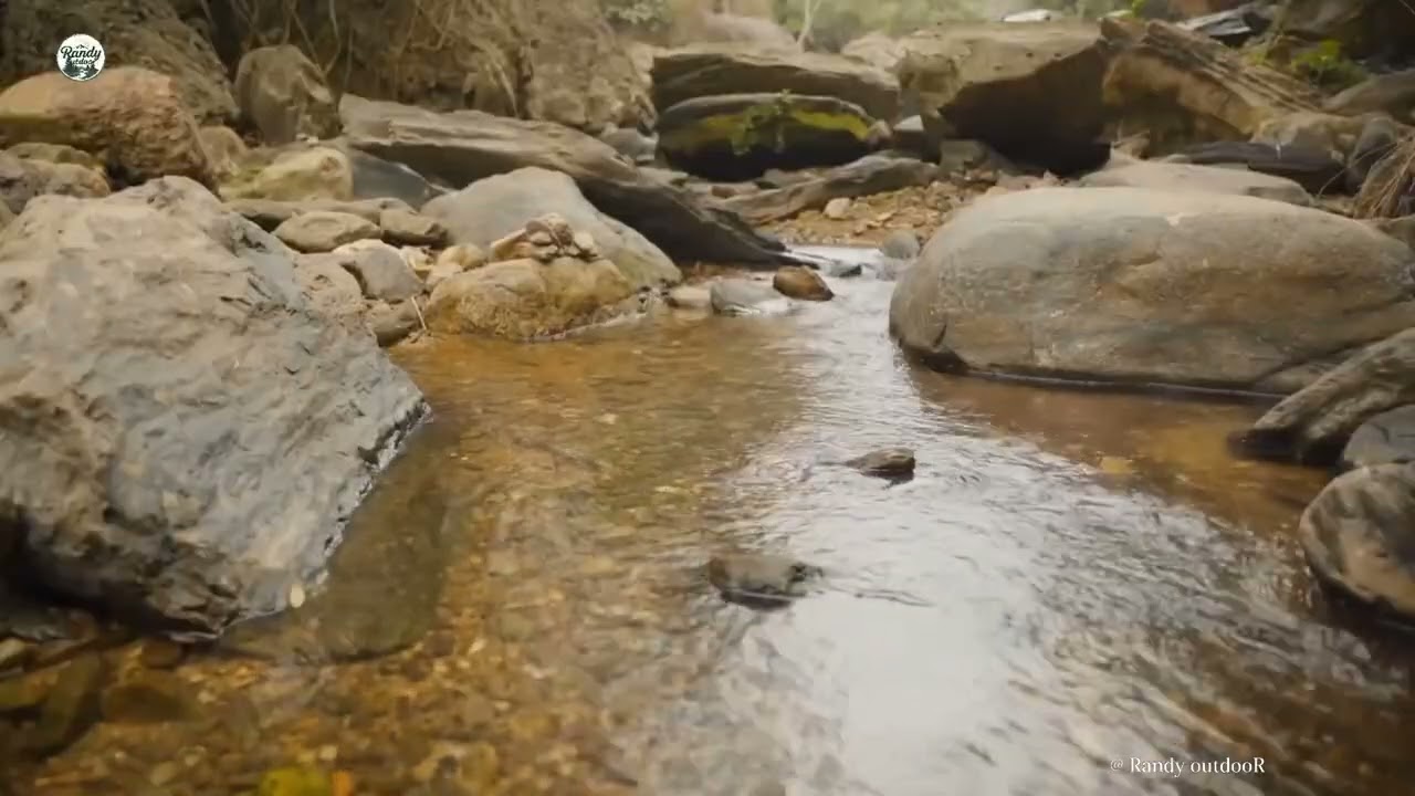 8K Nature relaxing  water sounds in forest singing birds of Nature outdoorn 5hrs relaxing