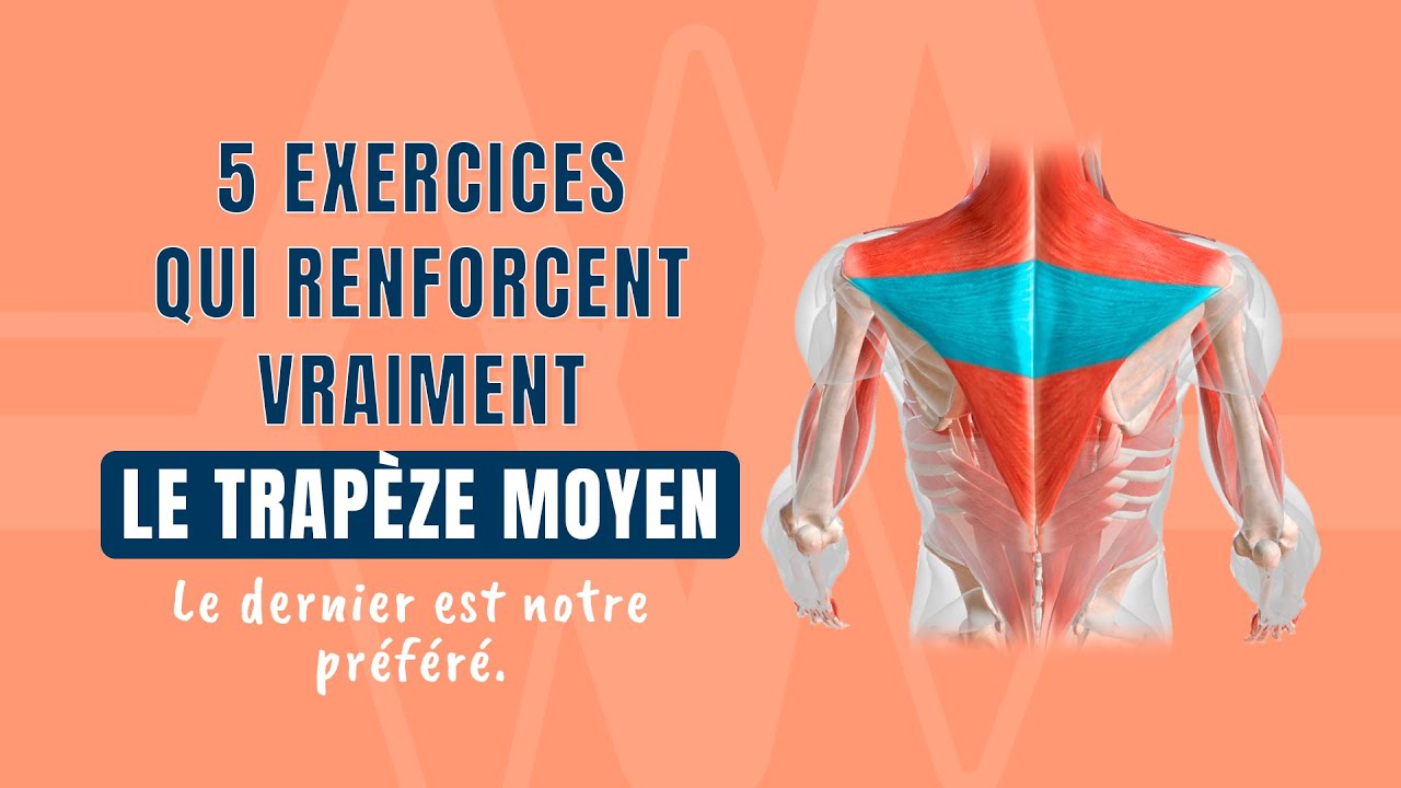 5 exercices qui renforcent VRAIMENT le trapèze moyen