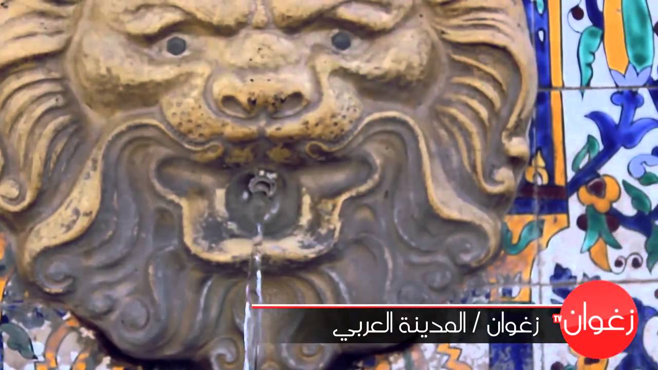 زغوان / المدينة العربي..