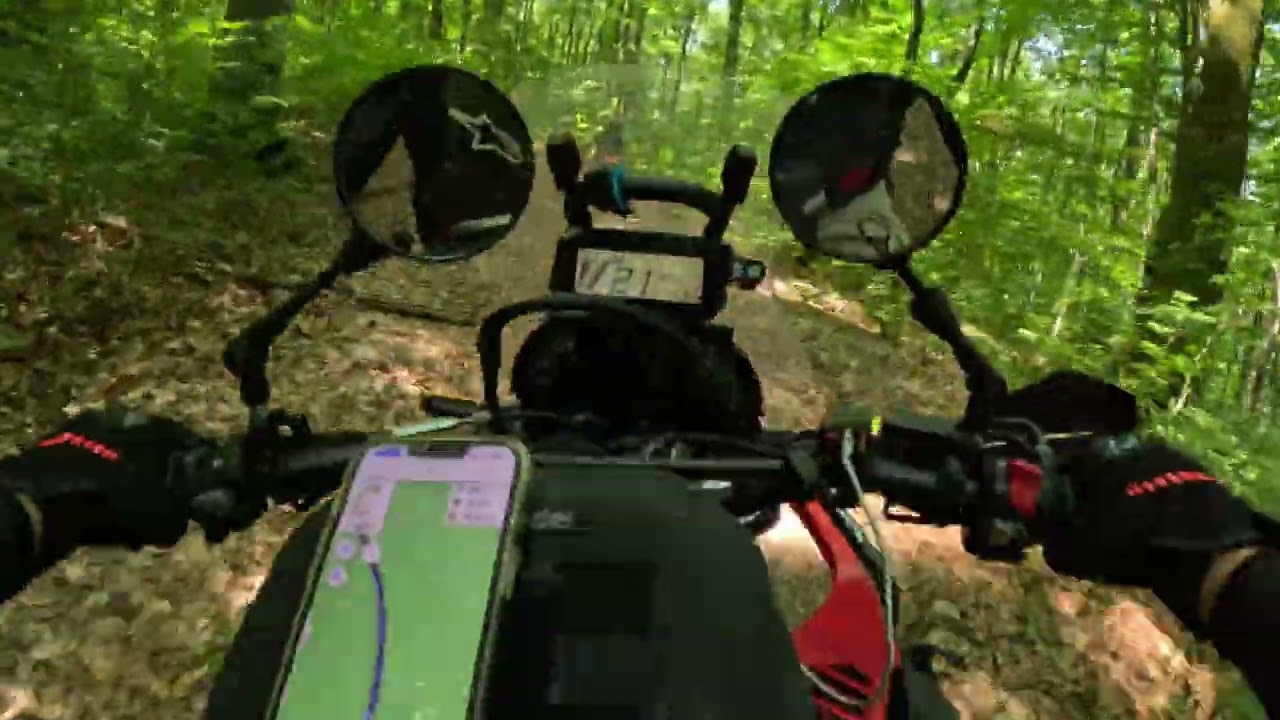 Great start of this trail: struggling to the path through a wild forest | Honda CRF300 Rally
