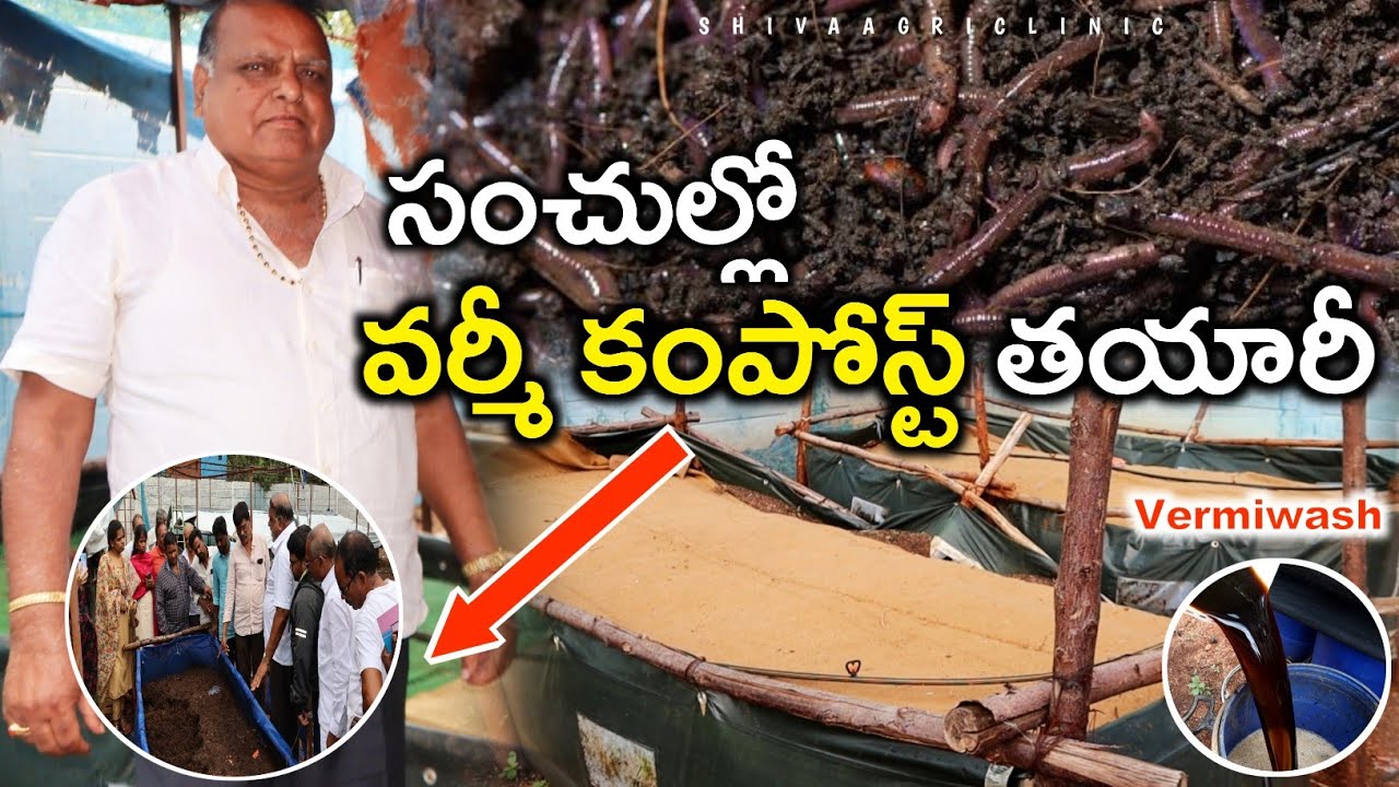 సంచుల్లో వర్మీ కంపోస్ట్ తయారీ | Vermicompost Preparation In Bags Method | Shiva Agri Clinic