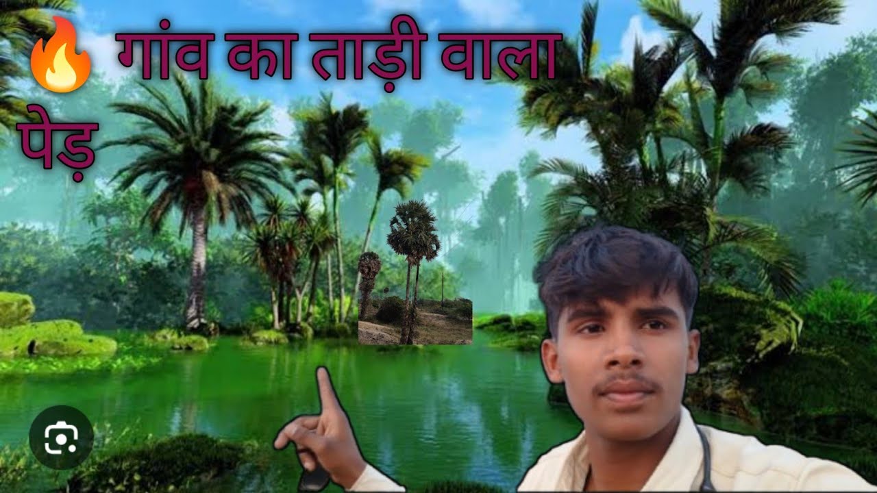 👉 ताड़ी के पेड़ का सच 😱🔥 | Toddy Palm Tree Vlog