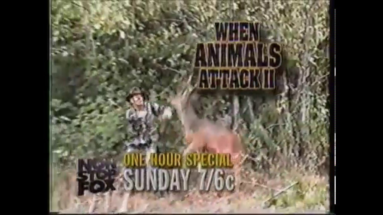 Commercial Break on Fox, October 1996