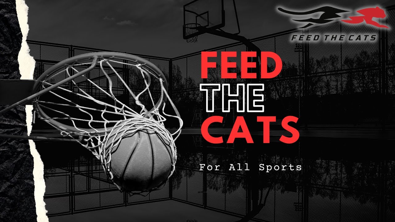 Feed the Cats Training for Basketball (and All Sports) ft. Chris Korfist