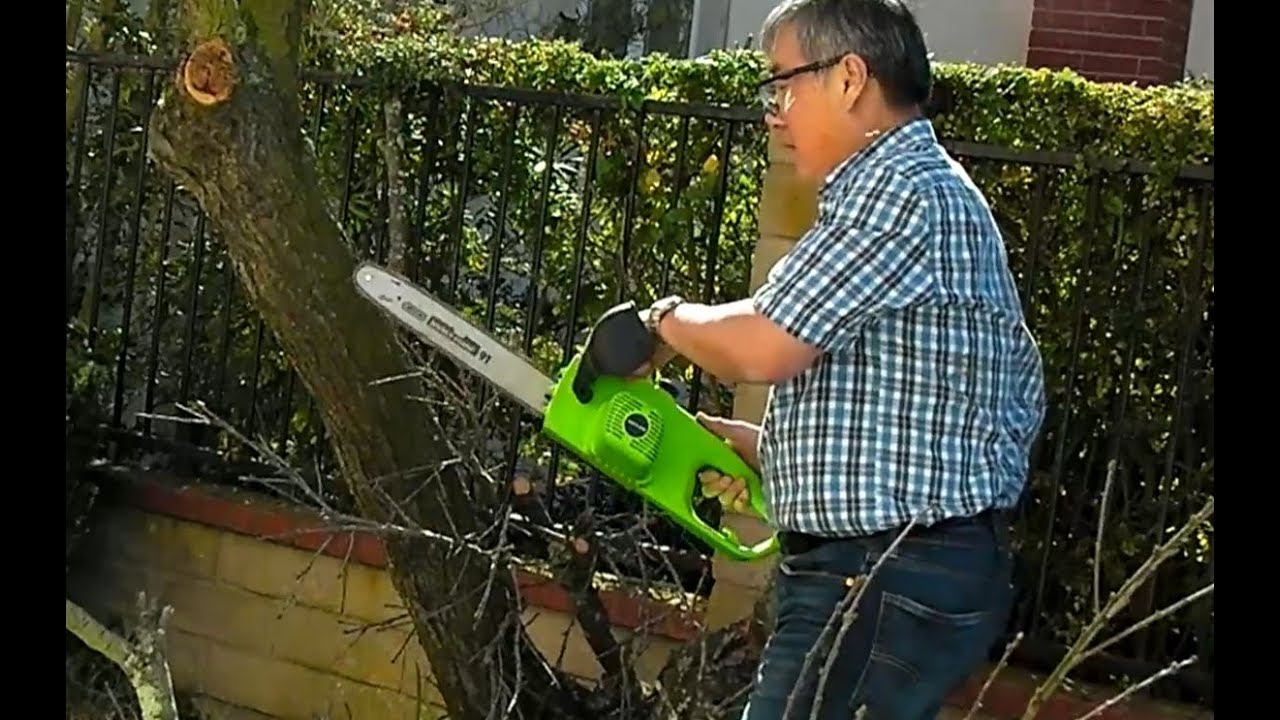 Electric Chainsaws: Cordless vs Corded (Ryobi vs Harbor Freight)