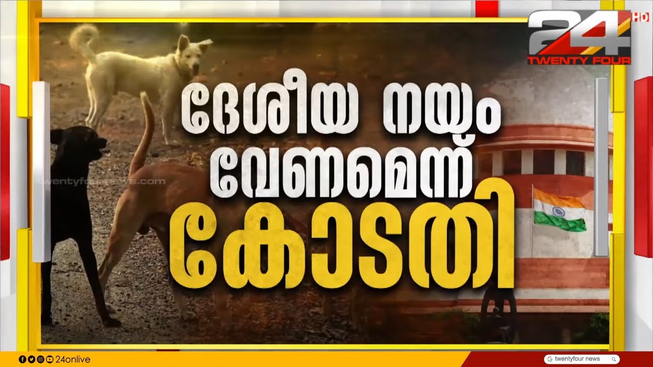 തെരുവ് നായകൾക്ക് വന്ധ്യംകരണം നടത്തി വീണ്ടും വിട്ടയയ്ക്കണം; മുൻ വിധി തിരുത്തി സുപ്രീം കോടതി