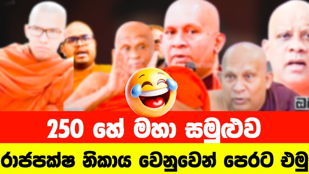 250 හේ මහා සමුළුව😂| Political memes sinhala | Funny memes | Sinhala Politics Memes