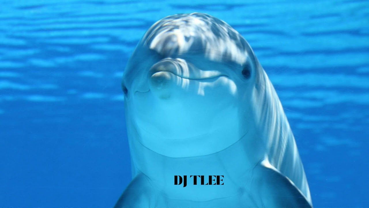 David Guetta - Titanium - L2O Remix