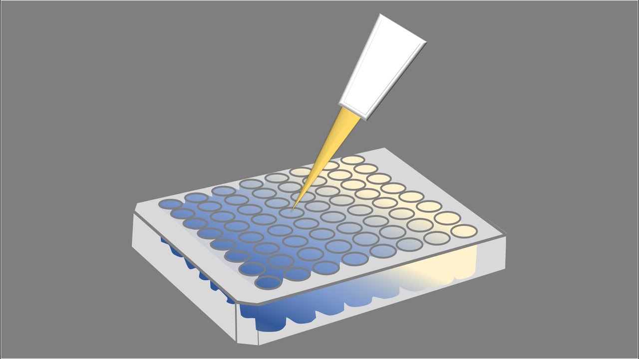 Assay Techniques. Methods used in drug discovery