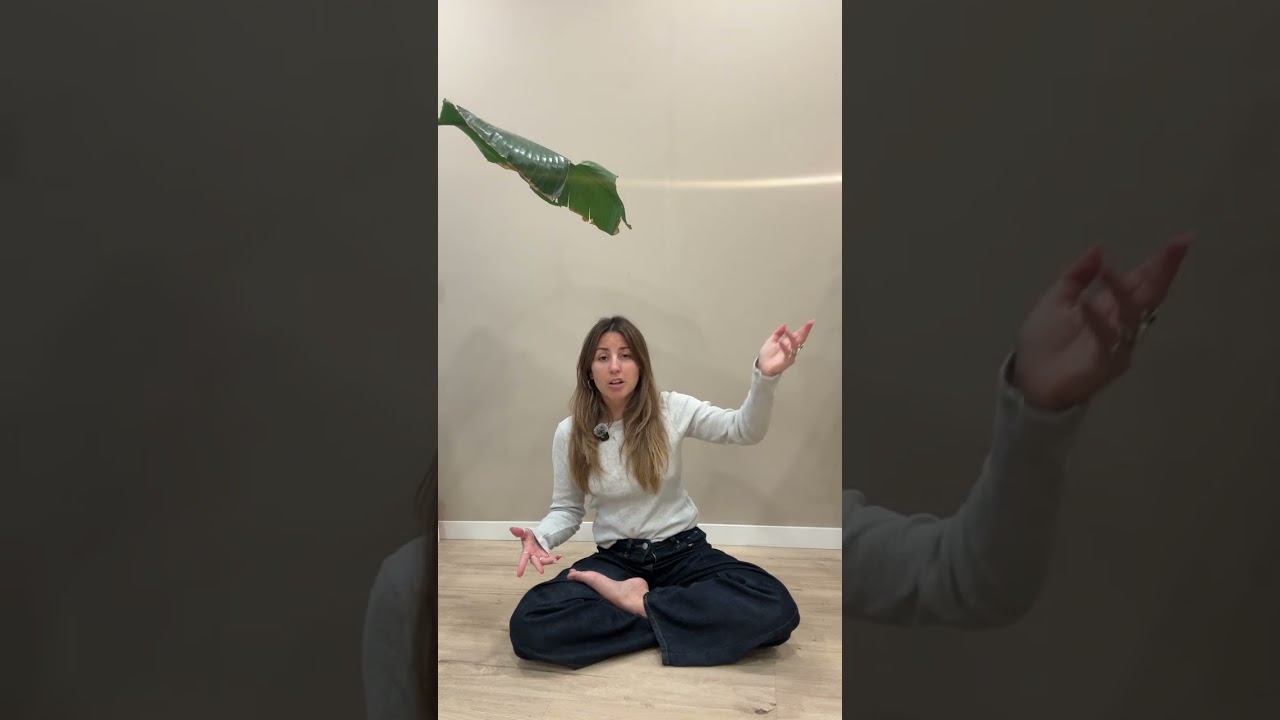 3 técnicas de respiración para relajar tu sistema nervioso ✨