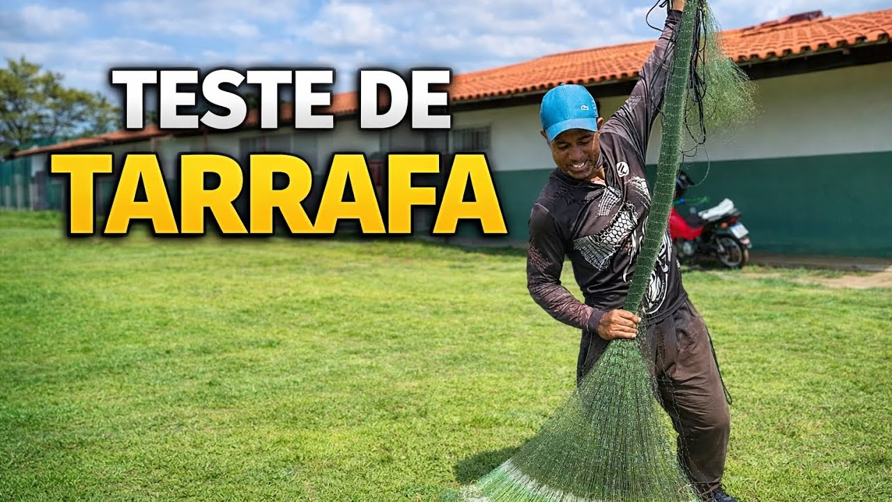 Quatro Lindas Tarrafas: Testadas e Aprovadas 