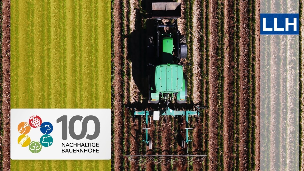 Mit Dammkultur Erträge sichern und Qualitäten fördern | Projekt „100 nachhaltige Bauernhöfe“