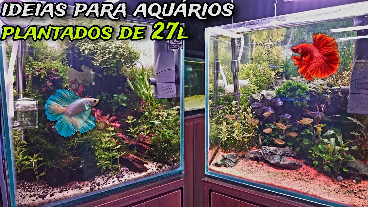 TOUR EM 4 AQUÁRIOS PLANTADOS DE 27L PARA VOCÊ SE INSPIRAR