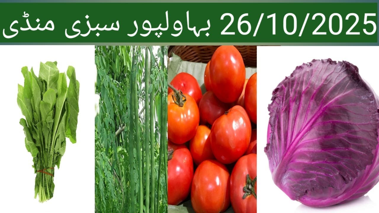 26\10\2025 Sabzi Rates in Bahawalpur Sabzi Mandi | Today’s Vegetable Price Update #sabzimandi