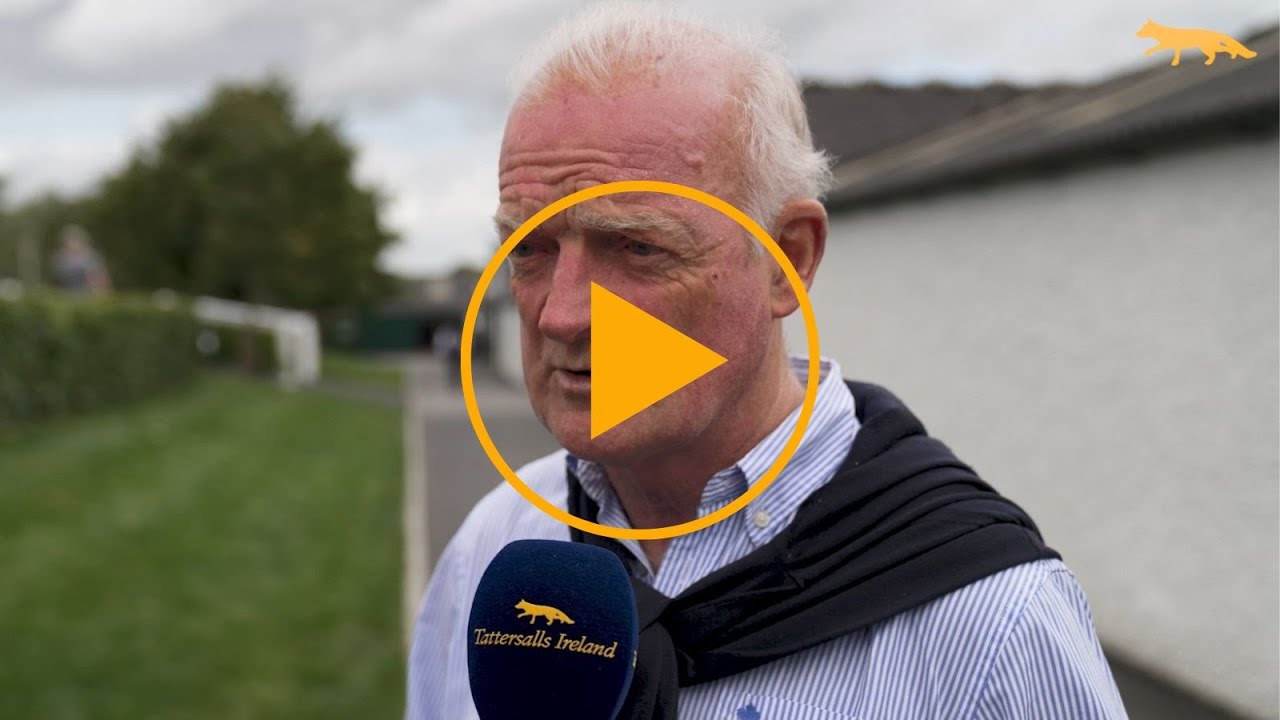 Willie Mullins - Tattersalls Ireland Derby Sale 2025