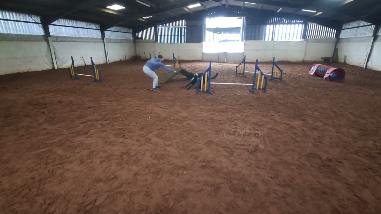 Agility  fun 😁 
