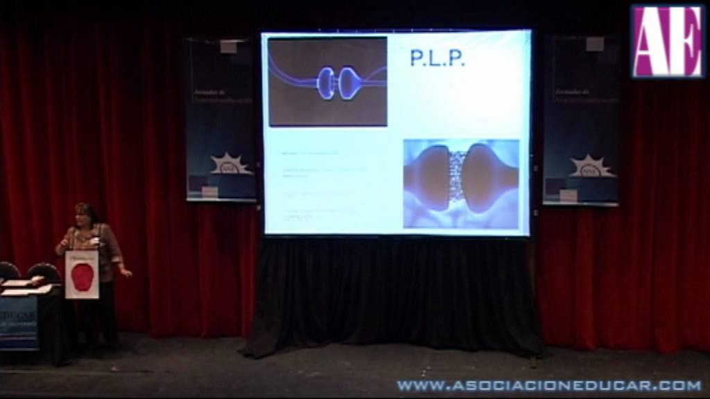 ¿Qué necesita el cerebro para aprender? Prof. Mirta Polla Rossi