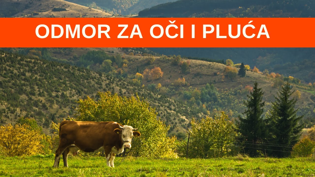 Neotkrivena mesta za ODMOR | Planina GOČ, sve njene zanimljivosti i aktivnosti | POGAČA I SO Ep.52