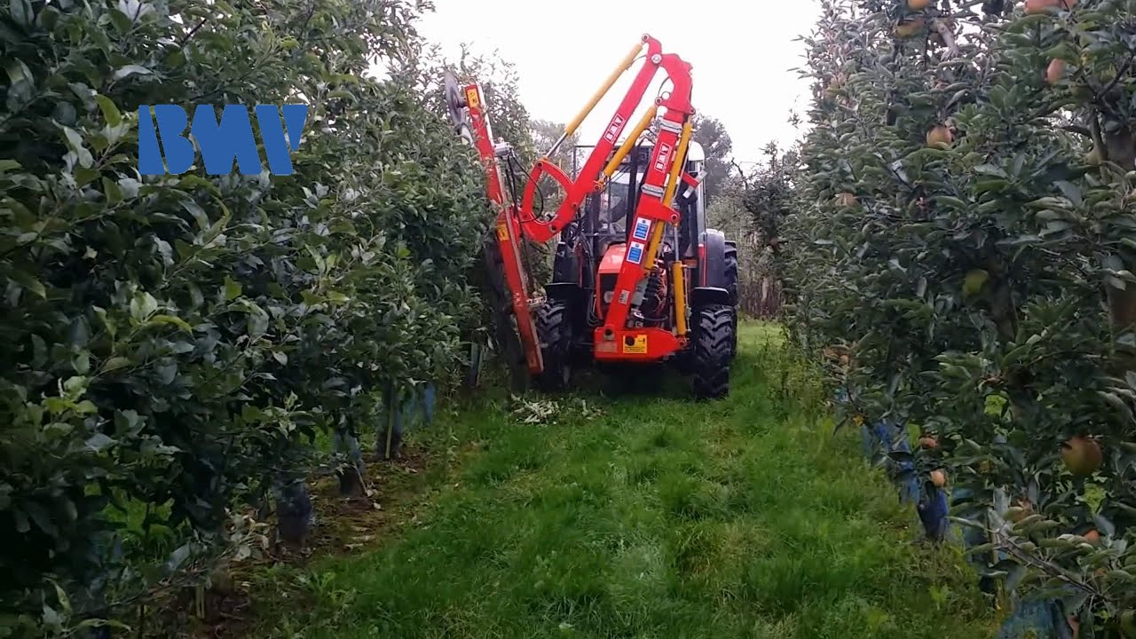 BMV Obst Übersicht