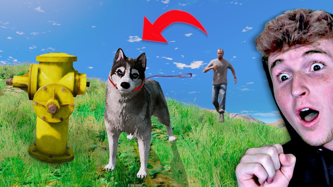 Играю в GTA 5 за ЖИВОТНОЕ..