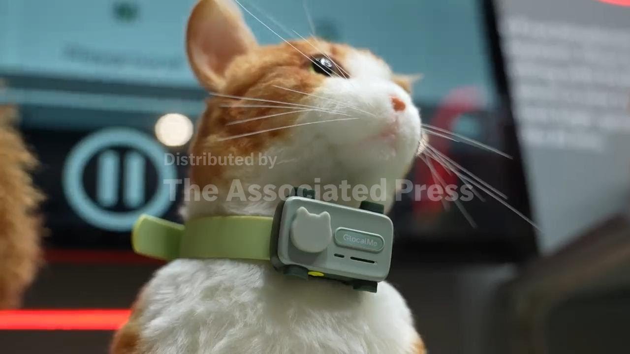 'Smartphone for pets' lets furry friends call their owners