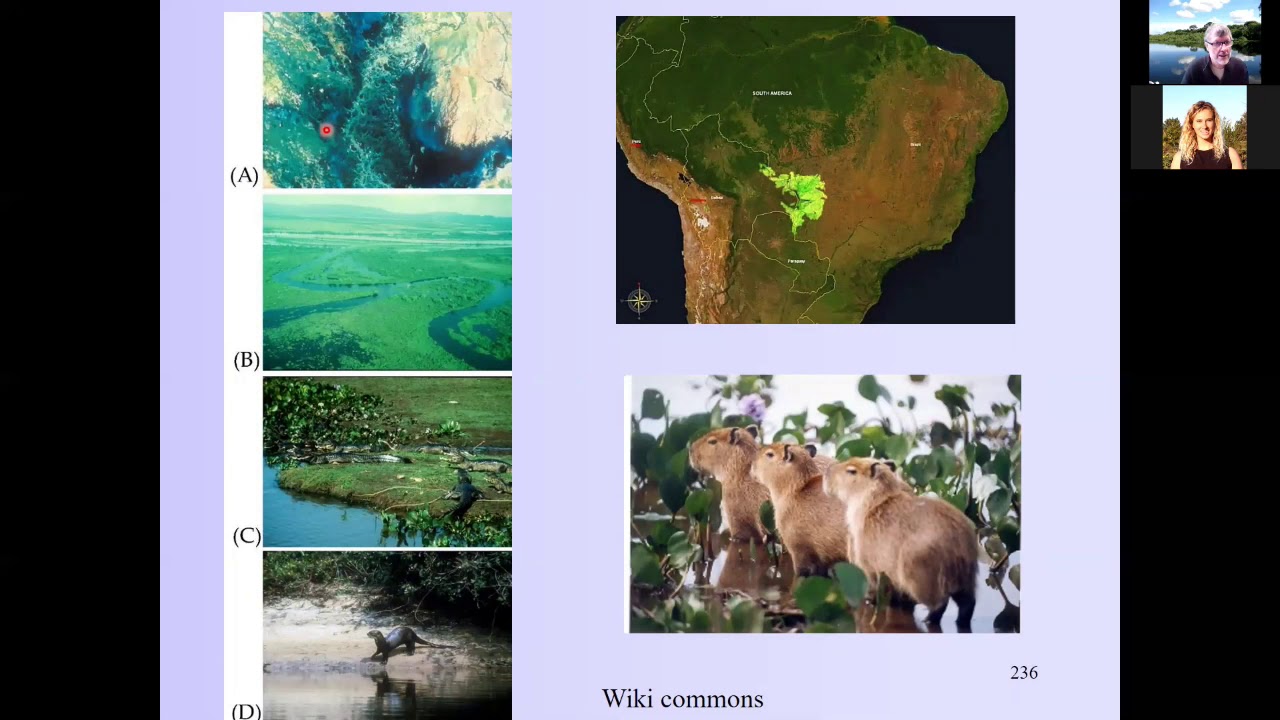 Freshwater Ecology: Freshwater Ecosystems.  Chapter 24 part d