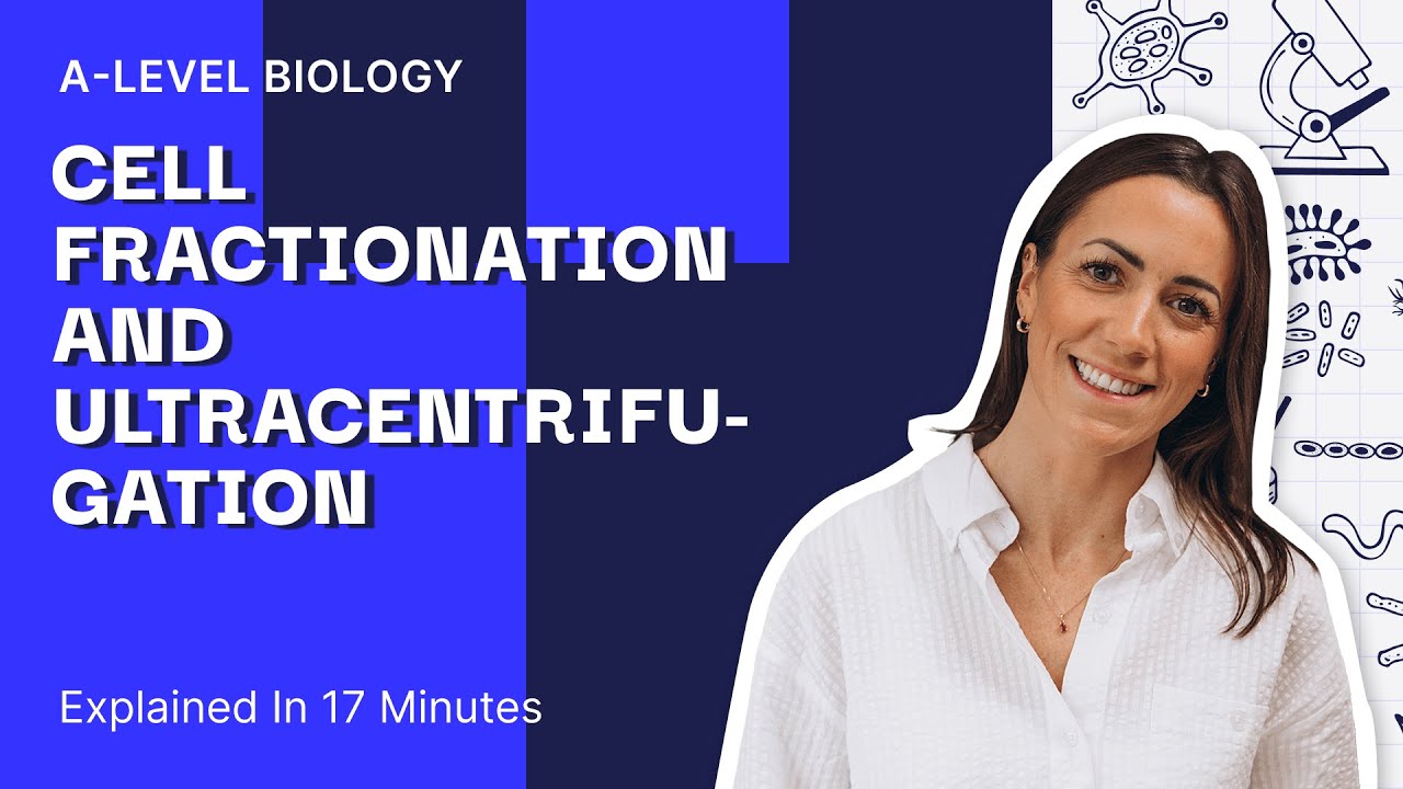 Cell Fractionation and Ultracentrifugation | AQA A Level Biology