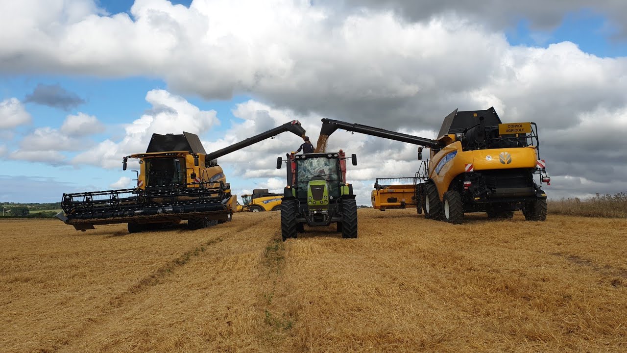 Chantier de moisson XXL dans le Finistère ‼️🌾🇫🇷  (5 moisse bat)😱🤩