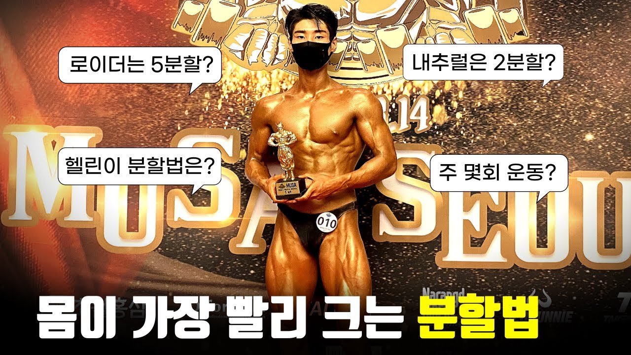 운동 분할법을 전부 해보고 느낌점