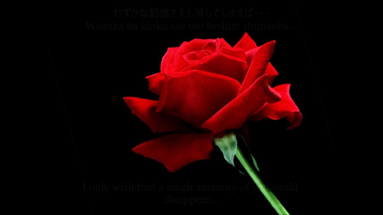 ナイトメア Nightmare - わすれな草 Wasurena kusa (Lyrics and english translation)