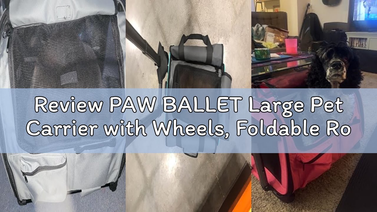 Review PAW BALLET Large Pet Carrier with Wheels, Foldable Rolling Dog Carrier with Big Pocket, Cat R