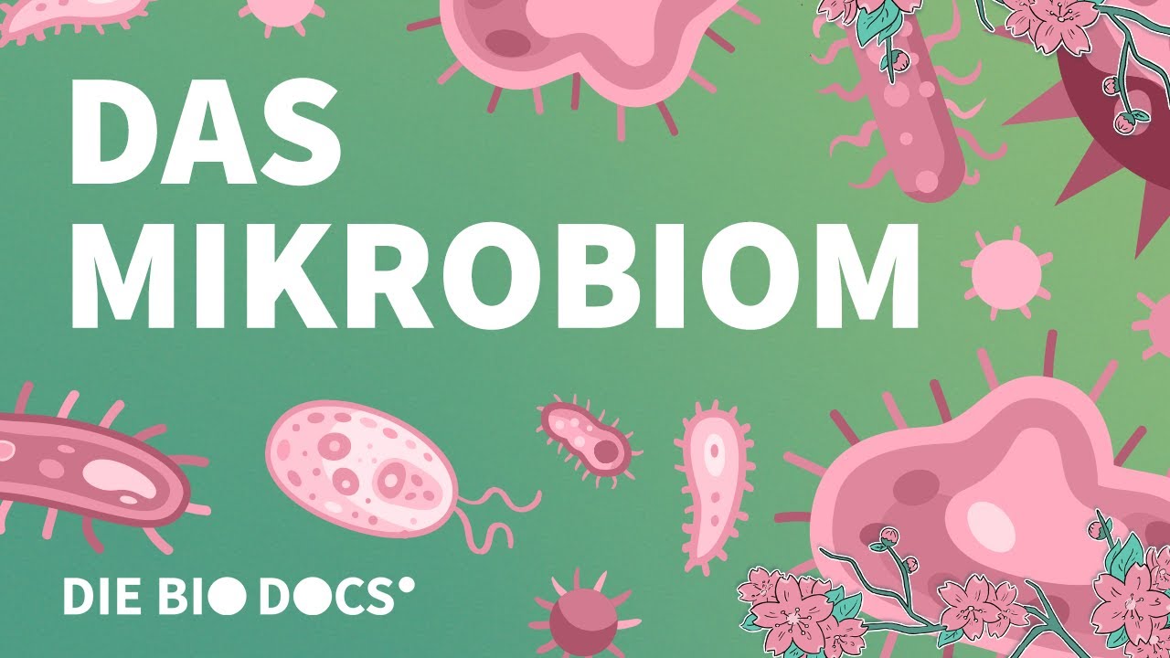 Das Mikrobiom: Deine kleinen Mitbewohner
