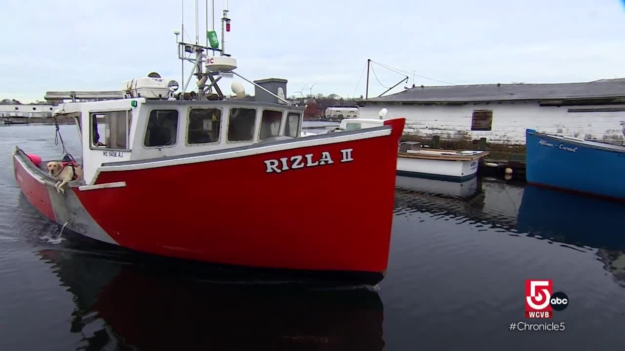 Female-run fishing businesses are keeping the industry alive in Gloucester, Mass.