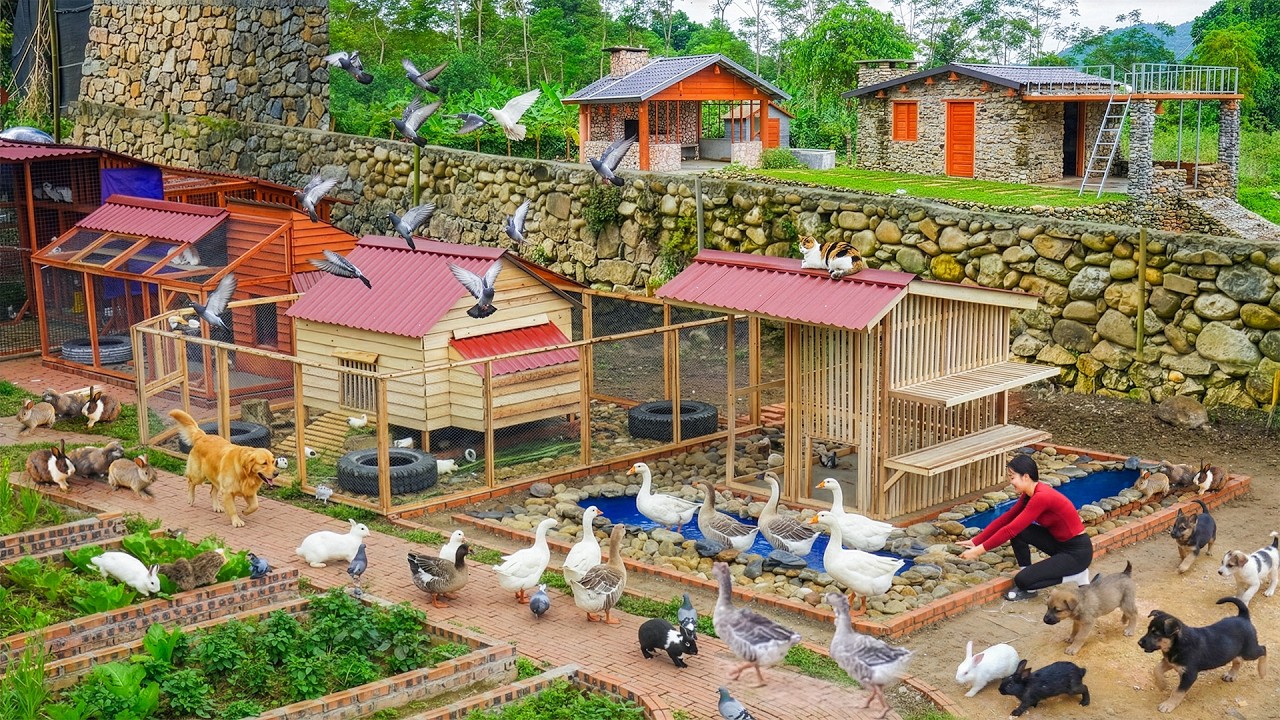 Full Video: 45 Days Building Many Creative House For Pigeon, Rabbit, Cat, Goose - Growing Jackfruit