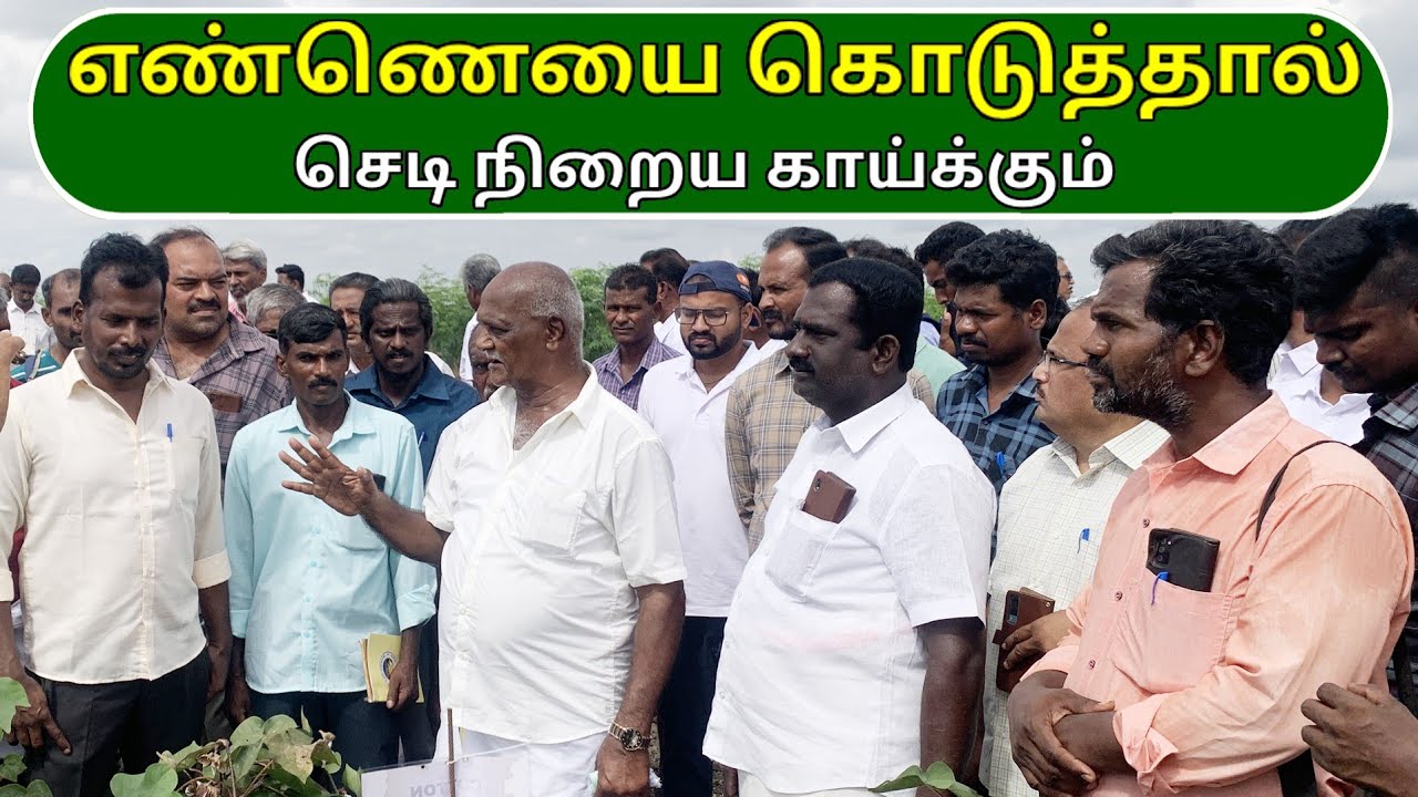 எண்ணெயை கொடுத்தால் செடி நிறைய காய்க்கும் | More growth with oils | Ponnuswamy oils