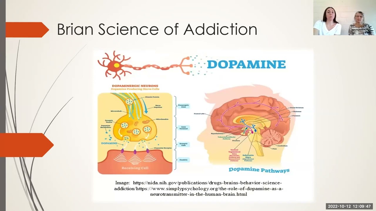 Understanding Substances And Substance Abuse