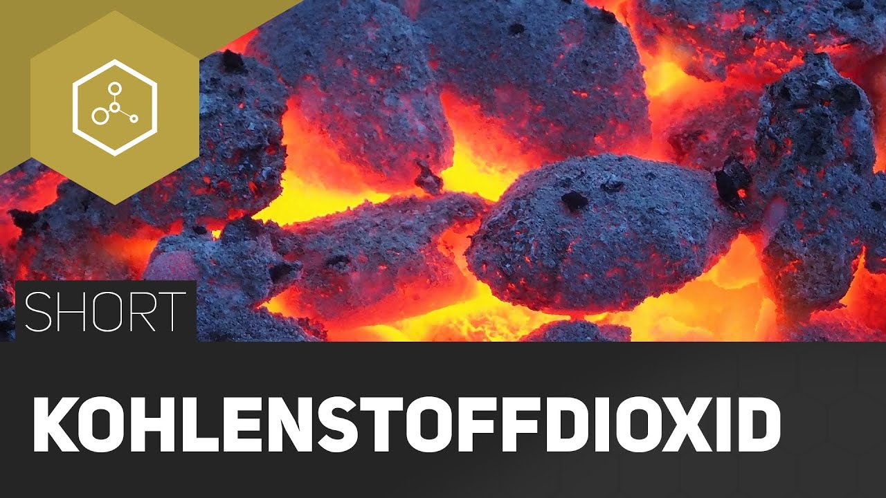 Kohlenstoffdioxid - Schuld an der globalen Erw&auml;rmung?  -  #TheSimpleShort