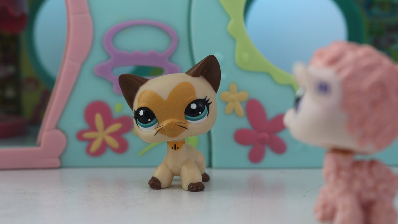 Lps: Allergies During A Pandemic