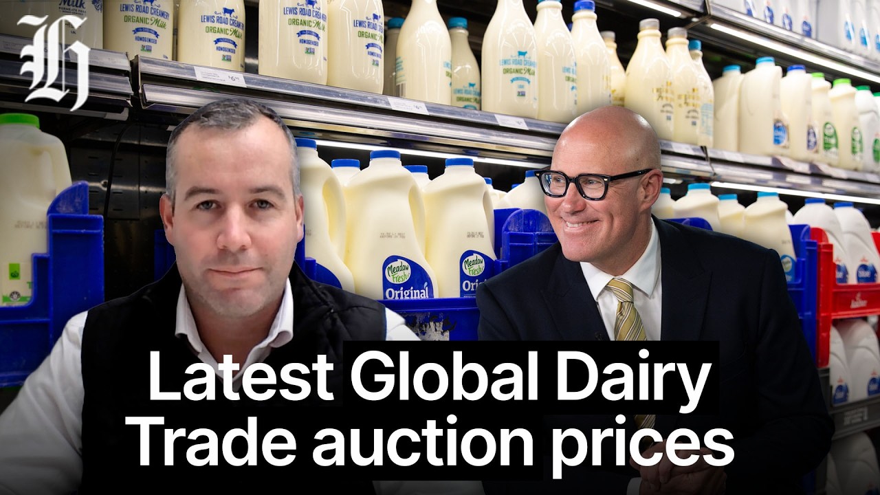 Стали известны цены последнего аукциона Global Dairy Trade | Herald NOW Business