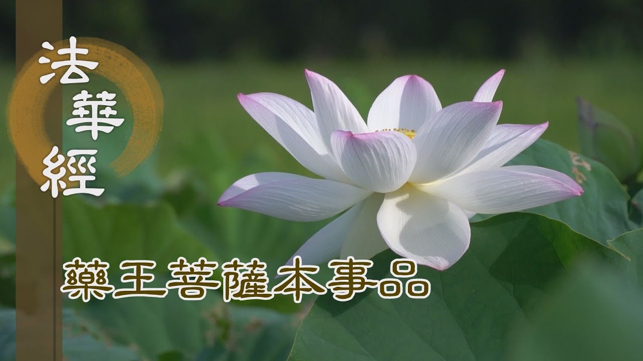 【靜思妙蓮華】 法華經 藥王菩薩本事品 - 聖人之極 諸法之王 - 第1854集 20250120
