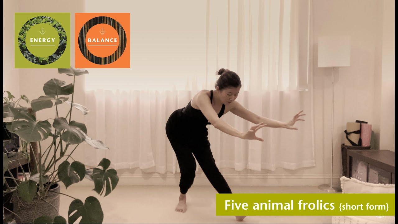 Five animal frolics short form | Qigong