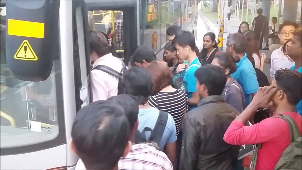 [SMRT] Service 856 buses at 
