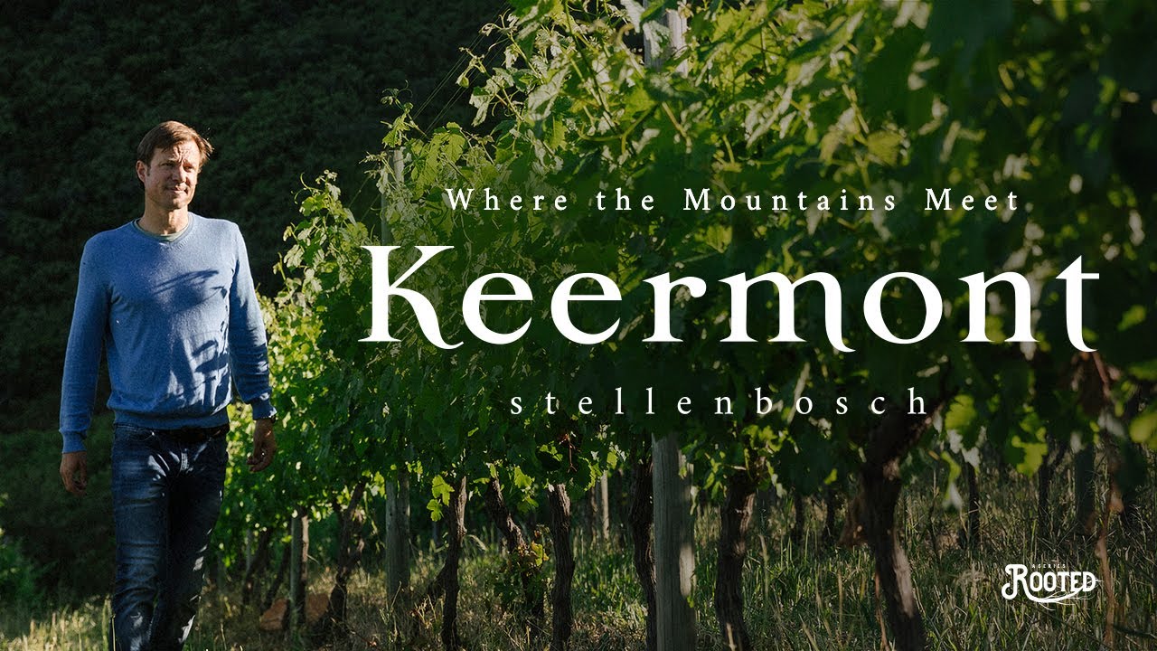 Where the Mountains Meet… | Keermont Vineyards | Rooted