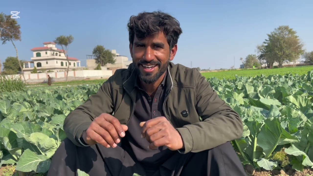 Companies  say baatcheat||or aham maslo say baat