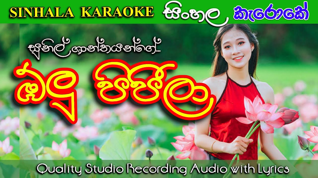 ඕලු පිපීලා | Olu Pipila - Sunil Santha | karaoke | lyrics (without voice)