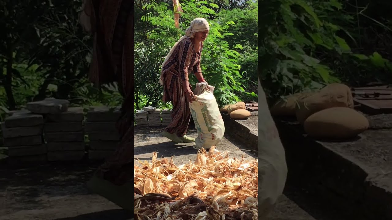 मम्मी जी क्यू करते ऐसा 😲 #himachalisubham #vlog #hamirpur