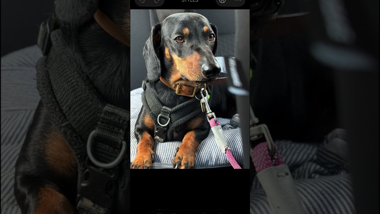 iOS 26 and the redesigned Photos app with fully working AI cleanup